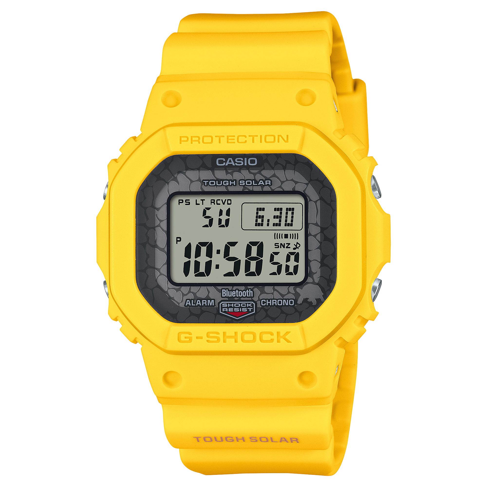 GW-B5600CD-9 | ดิจิตอล | ซีรีส์ 5600 | G-SHOCK | นาฬิกา | CASIO (รุ่นที่เกิดจากการร่วมมือกับ Charles Darwin Foundation)