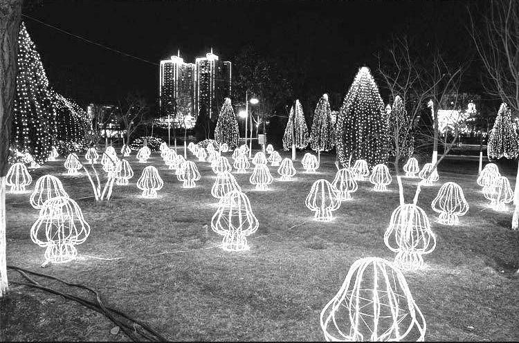 ไฟคริสต์มาส ความยาว 100 เมตร เเสงขาว / วอร์มไวท์ / สีรวม RGB /ฟ้า / เเดง / ชมพู เเสงนิ่ง (ไม่กระพริบ) ไฟประดับตกเเต่ง ไฟประดับสวน ไฟประดับต้นไม้ ไฟประดับ led ไฟประดับปีใหม่ ไฟปีใหม่ ไฟงานวัด ไฟเส้นตกเเต่ง