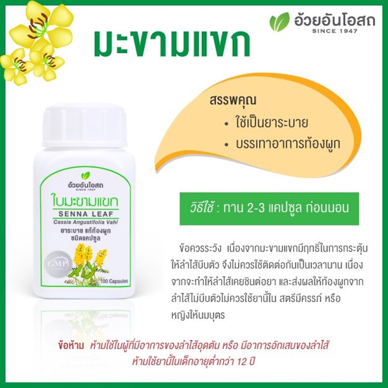 ใบมะขามแขกแคปซูล อ้วยอันโอสถ (100 แคปซูล ขวด)