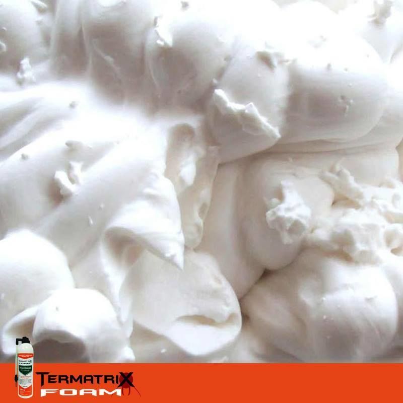 Termatrix Foam โฟมกำจัดปลวก ยากำจัดปลวก แบบโฟม ตราเทอร์แมทริกซ์ ขนาด 500g. (สูตรตายต่อเนื่อง)