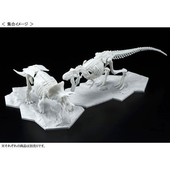 1061660 BANDAI SPIRITS DINOSAUR MODEL KIT LIMEX SKELETON Triceratops