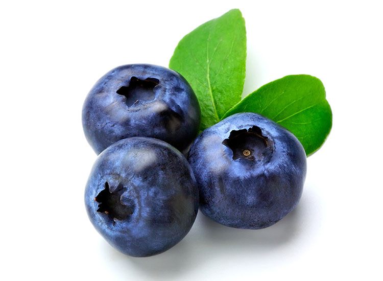 หัวน้ำหอมกลิ่นบลูเบอรี่ BlueBerry ขนาด1000ML : 002901