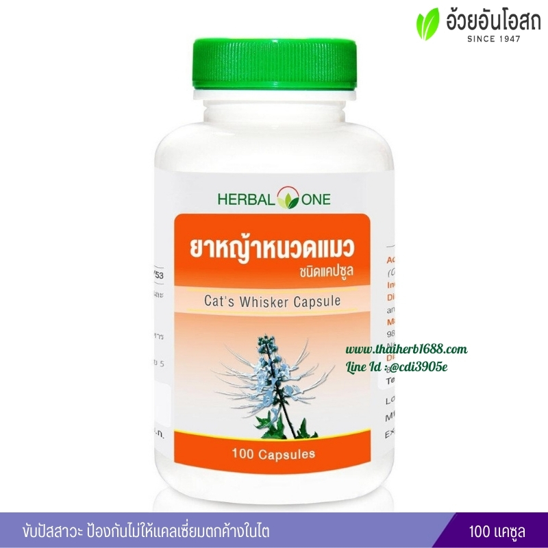 ยาหญ้าหนวดแมวชนิดแคปซูล อ้วยอันโอสถ เฮอร์บัลวัน Herbal One