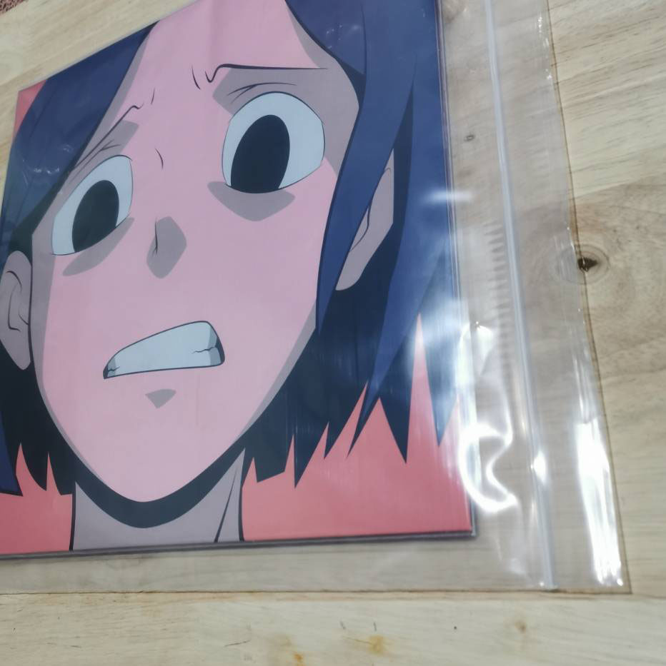 ซองซิปพลาสติกใส่แผ่นเสียง ซองพลาสติกเก็บแผ่นเสียง สำหรับแผ่น 12นิ้ว 50 ใบ