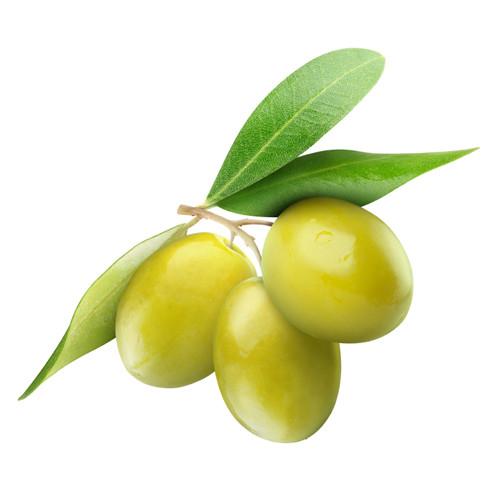 น้ำหอมกลิ่นมะกอก Olive 1 kg 005769