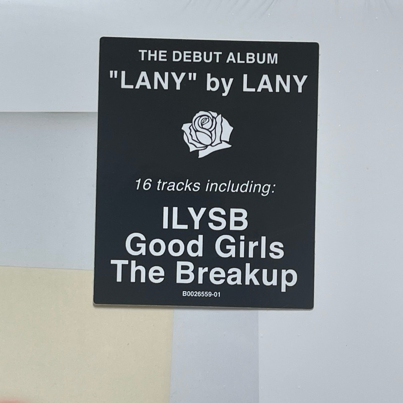 แผ่นเสียง LANY – LANY ,2 × Vinyl, LP, Album, Gatefold ,canada มือหนึ่ง ซีล