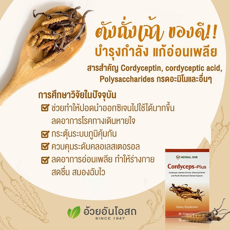 ตังถั่งเฉ้า-พลัส อ้วยอันโอสถ เฮอร์บัลวัน Cordyceps-Plus Herbal One
