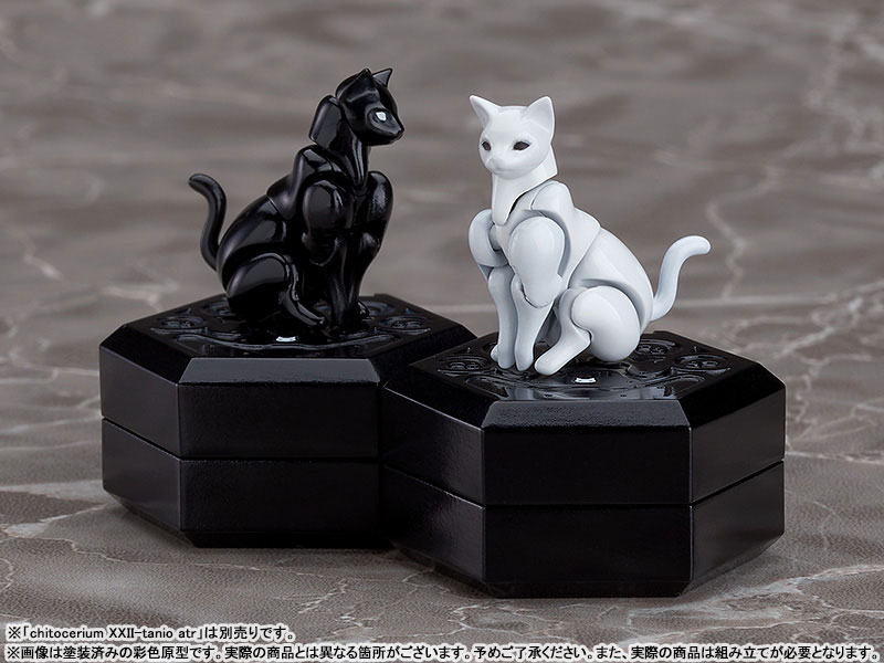 chitocerium XXII-tanio alb & atr