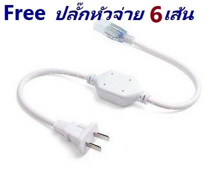 [ ฟรี ! ปลั๊กหัวจ่าย 6 เส้น ] ม้วน 100 เมตร LED NEON FLEX ไฟนีออนเฟล็กซ์ 2835 DC220v ไฟแอลอีดีนีออนดัด สามารถ ตัด ดัด โค้ง งอ ตกเเต่งายในและภายนอกสถานที่หรือการเดินไฟซ่อนฝ้า -กดเลือก แสง white warmwhite green red blue yellow