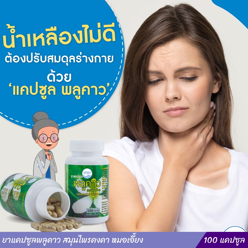 ยาแคปซูลพลูคาว สมุนไพรคงคา หมอเอี้ยง 100 แคปซูล
