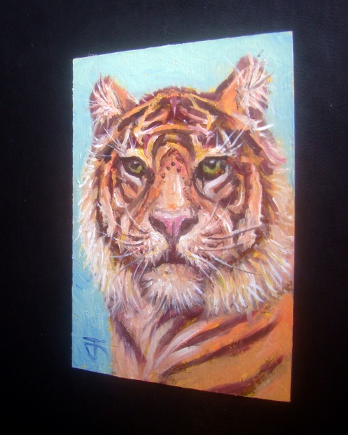 ACEO-ฺTiger ภาพวาดสีน้ำมัน บนกระดาษ 300 แกรม ขนาด 2.5 x 3.5 นิ้ว