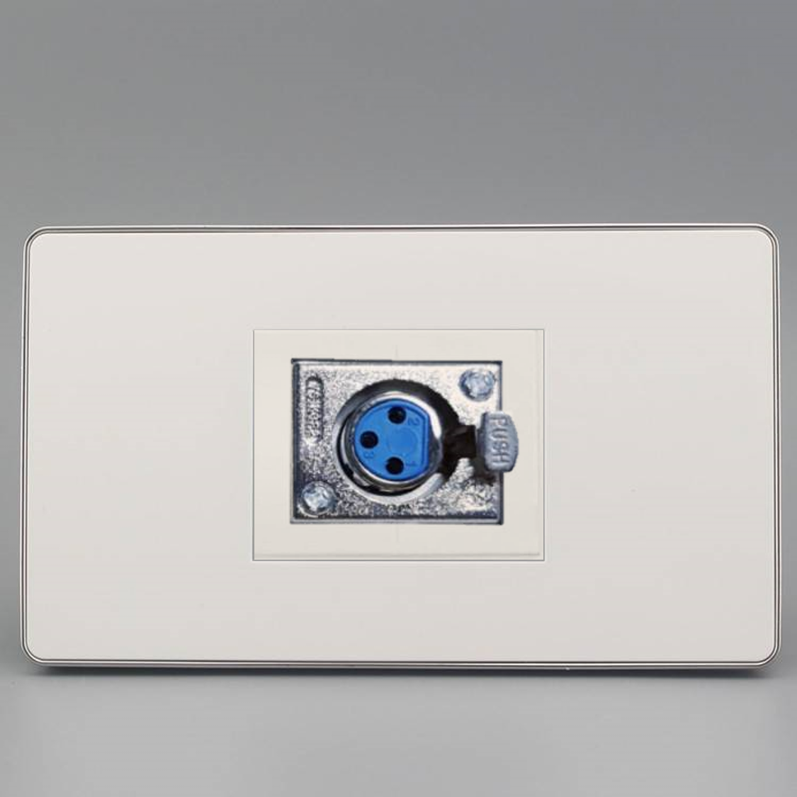 Wall plate XLR 1ช่อง (หน้ากากสีขาวขอบเงิน )