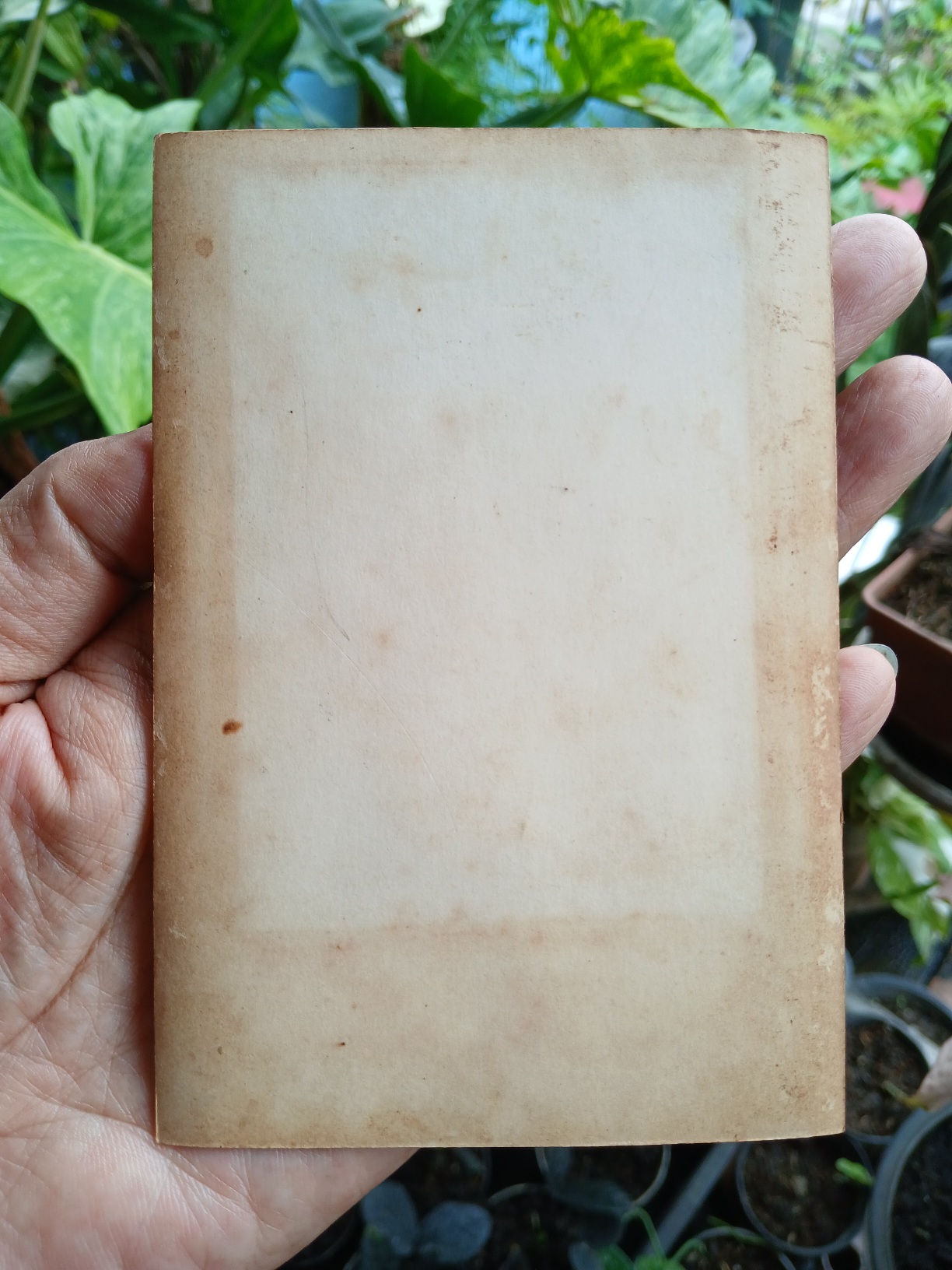 ภาพในหลวง รัชกาลที่ 9 สภาพเก่าเก็บ ขนาด กว้าง 9 cm. สูง 13.3 cm. (3.5 นิ้ว x 5 นิ้ว)