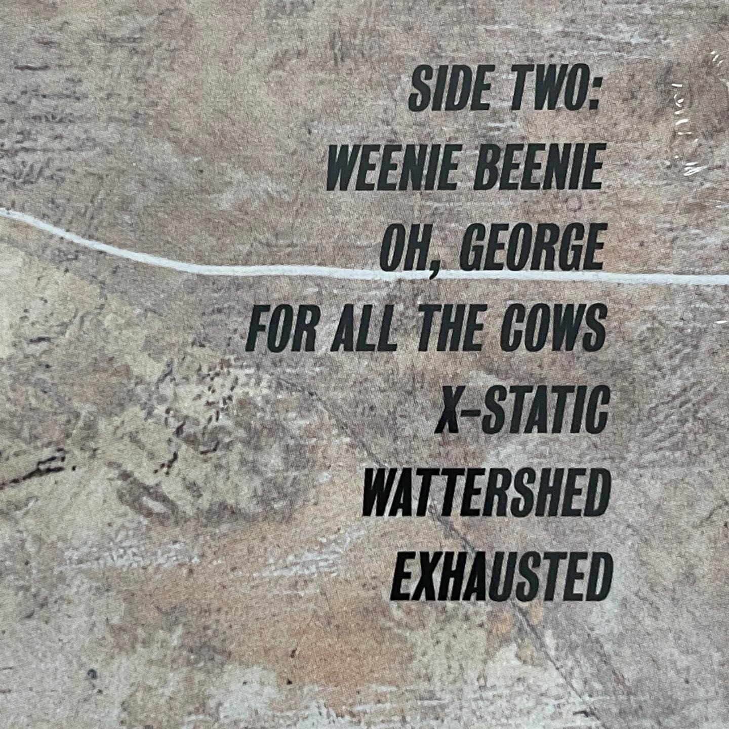 แผ่นเสียง Foo Fighters - Foo Fighters ,Vinyl, LP, Album, Reissue แผ่นเสียงมือหนึ่ง ซีล