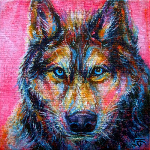 "Wolf no.2" ภาพวาดสีอะคริลิค Colorful Impressionism งานเพ้นท์บนเฟรมผ้าใบ canvas ขนาด 20 x 20 cm.