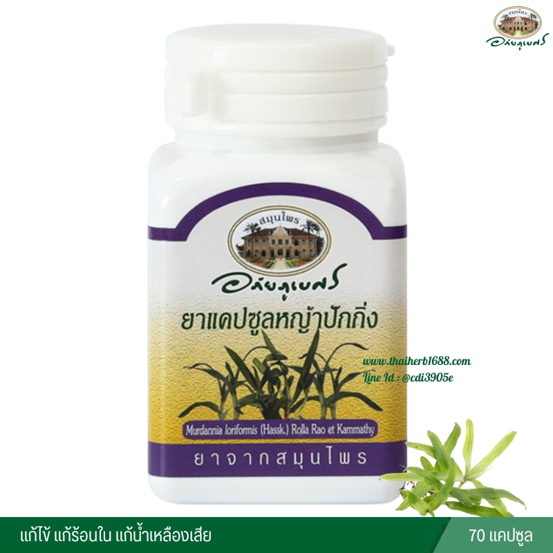 ชุด ดูแลรักษาสะเก็ดเงิน (แคปหญ้าปักกิ่ง อภัยฯ + น้ำม้นมะรุมสกัดเย็น ซิทออย)