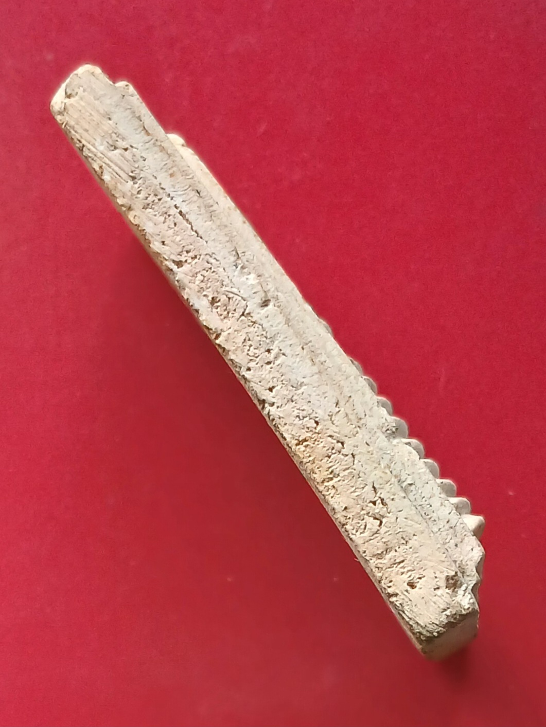 พระสมเด็จ 9 ชั้น หลวงปู่จันทร์ วัดศรีเทพ จ.นครพนม พิมพ์อกร่อง เนื้อขาวอมเหลือง s2