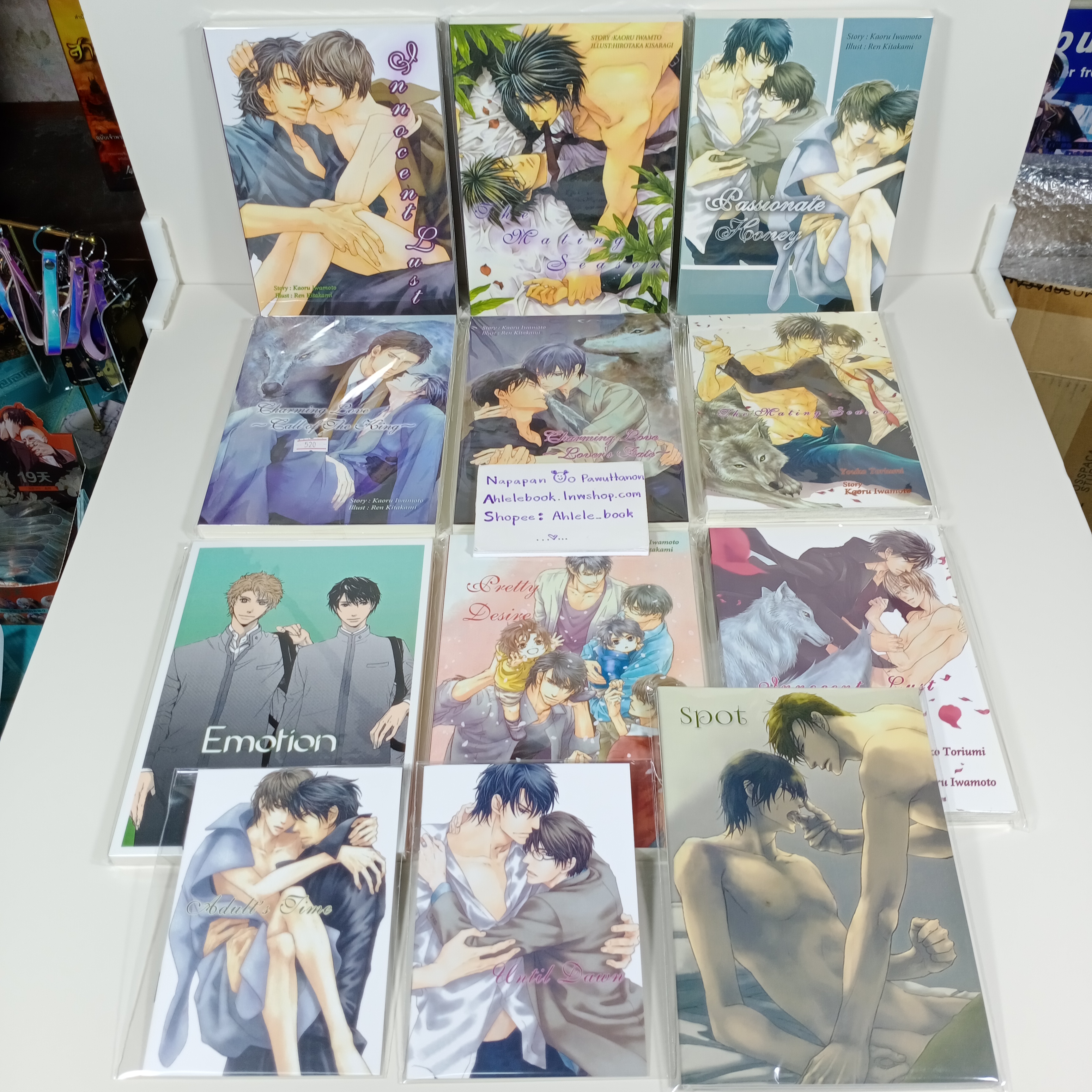 [นิยายวาย] เซ็ตหมาป่า ขายเหมา 11 เล่ม + มินิโนเวล 4 เล่ม