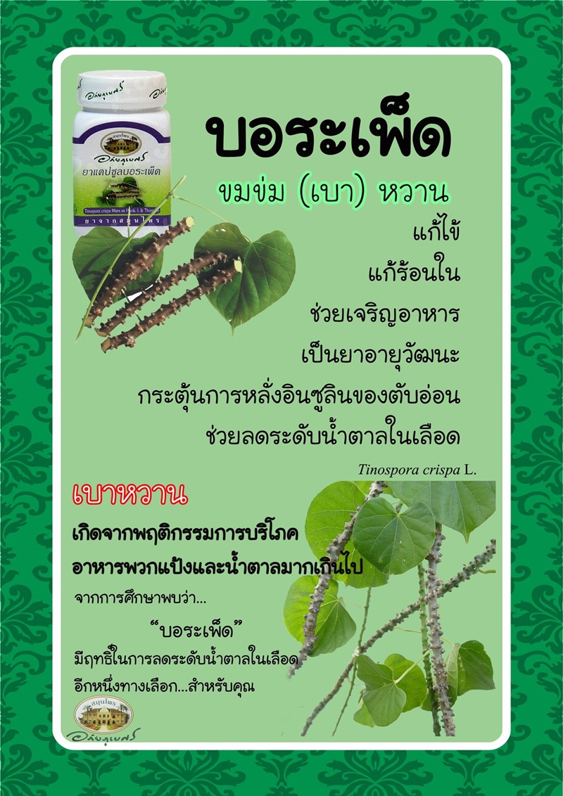 แคปซูลบอระเพ็ด อภัยภูเบศร