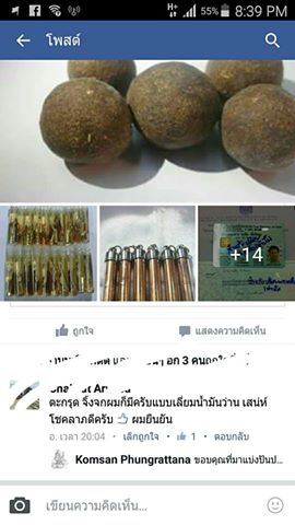 ตะกรุดยันต์จิ้งจก2หางอ.เอ็มพุทธศาสตร์(ทองแดง)