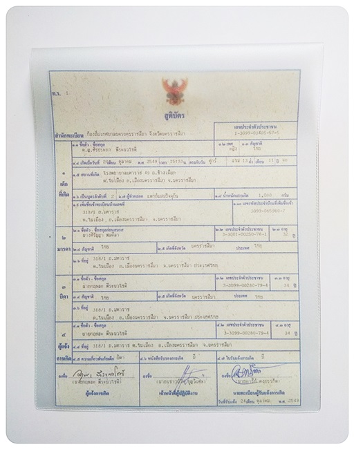 ซองสูติบัตร แบบขุ่น มีกระดุม