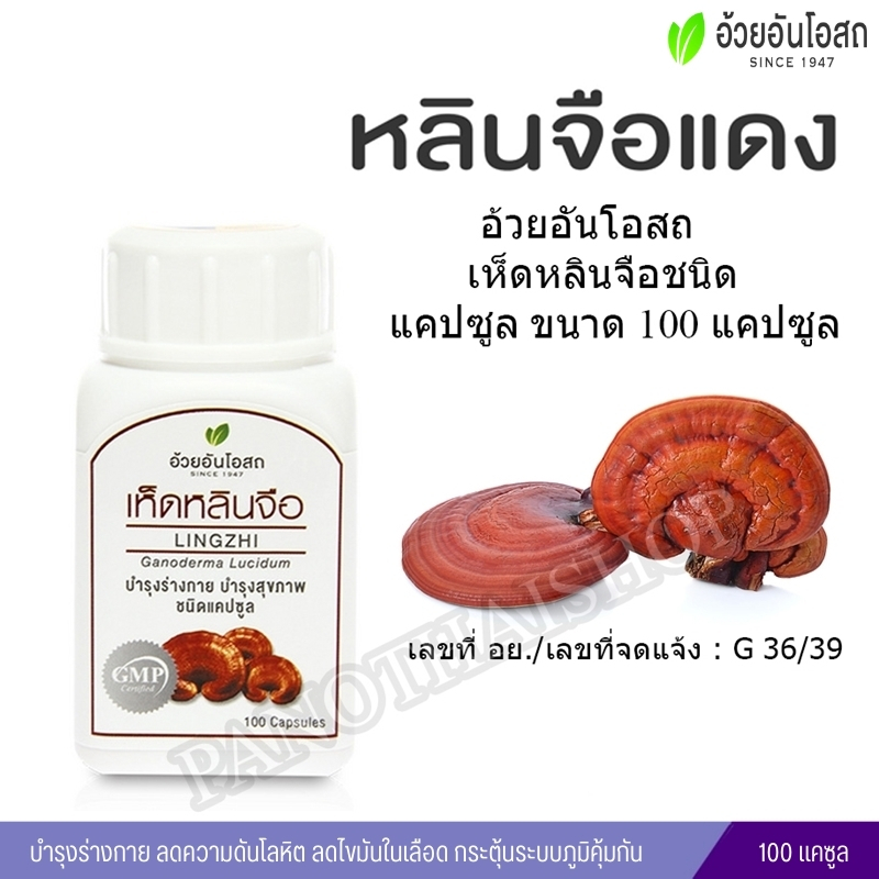 เห็ดหลินจือแคปซูล อ้วยอันโอสถ (100 แคปซูล ขวด)