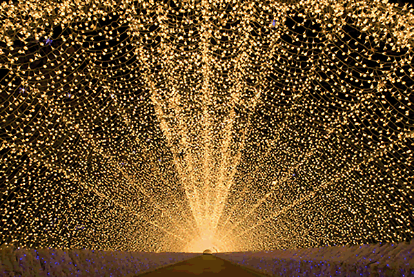 ไฟledคลิสมาส เส้นยาว100เมตร แบบกระพริบ แสงwhite แสงwarm แสงRGB