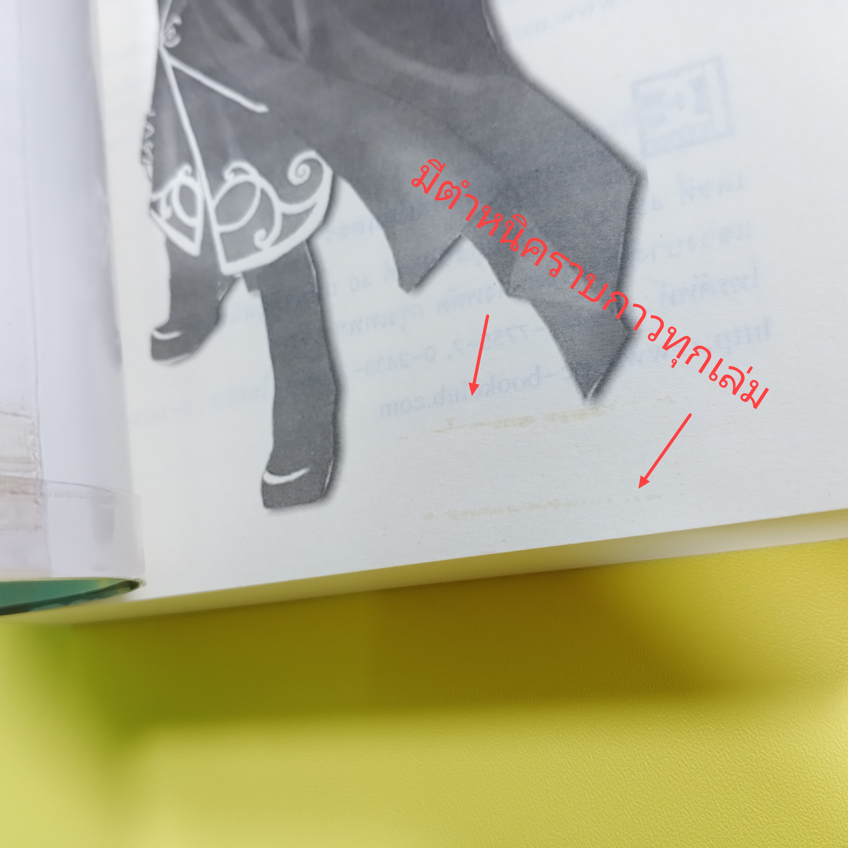 [นิยาย] ผมคือ...?! เล่ม 1-3 (จบ) ปกเก่า