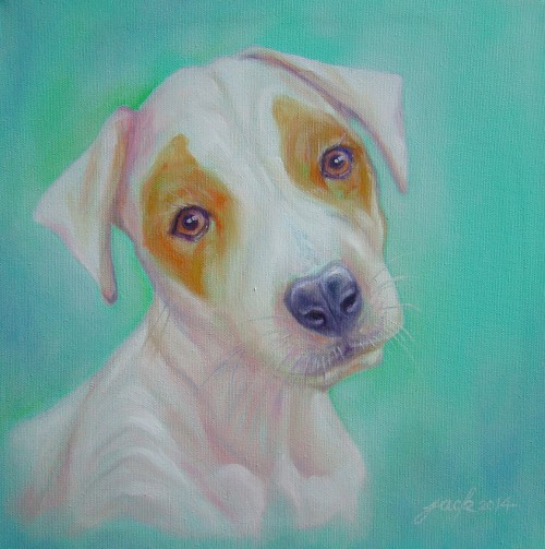 Jack Russell ภาพวาดสีน้ำมัน งานเพ้นท์บนเฟรมผ้าใบ canvas ขนาด 30x30 cm.