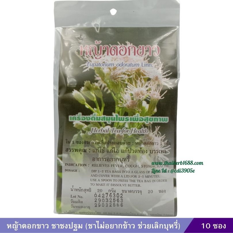 หญ้าดอกขาว ชาชงปฐม (ชาไม่อยากข้าว ช่วยเลิกบุหรี่)