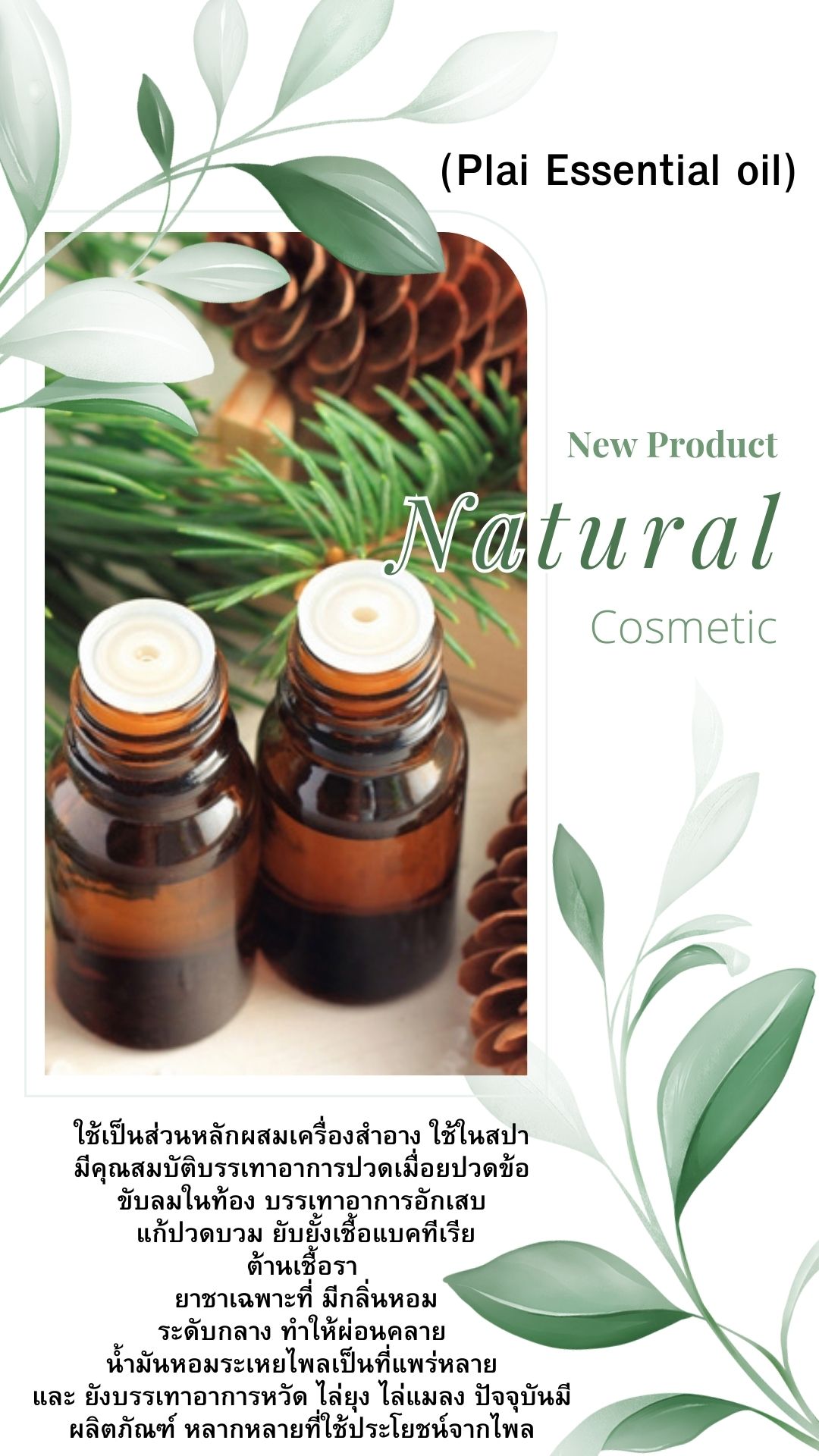น้ำมันหอมระเหย ไพล (Plai Essential oil)