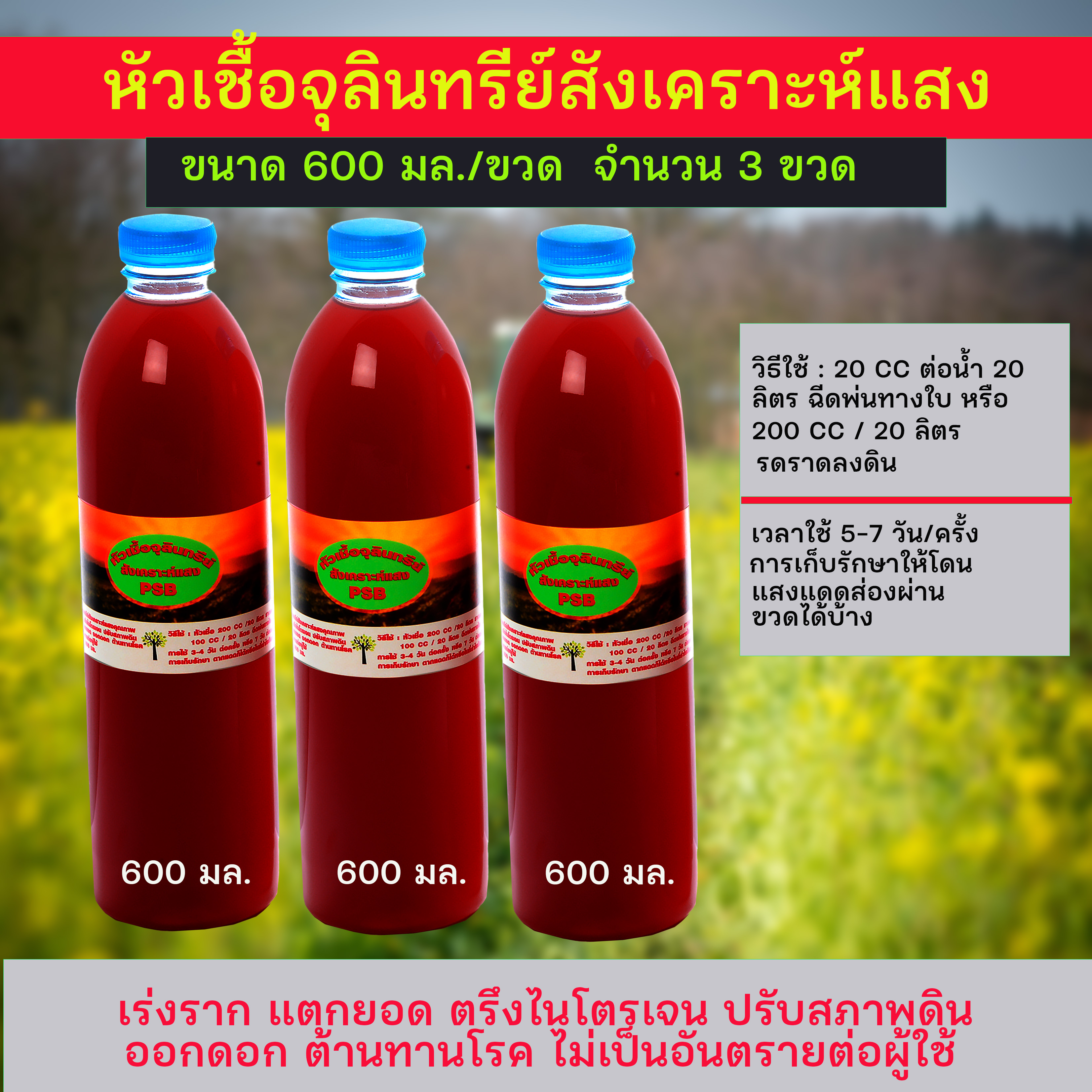 หัวเชื้อจุลินทรีย์สังเคราะห์แสงคุณภาพ ขนาด 600 มล. เร่งราก แตกยอด ตรึงไนโตรเจน ปรับสภาพดิน บำบัดน้ำ จำนวน 3 ขวด 2 1,900 กรัม แดง 600 มล.