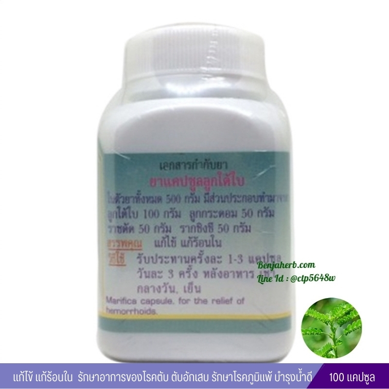 ยาแคปซูล ลูกใต้ใบ สมุนไพรดวงพร (100 แคปซูล)