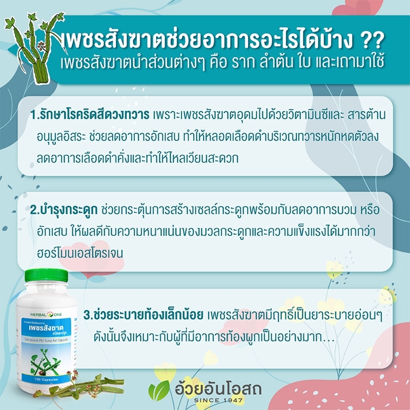 เพชรสังฆาตแคปซูล อ้วยอันโอสถ เฮอร์บัลวัน Herbal One