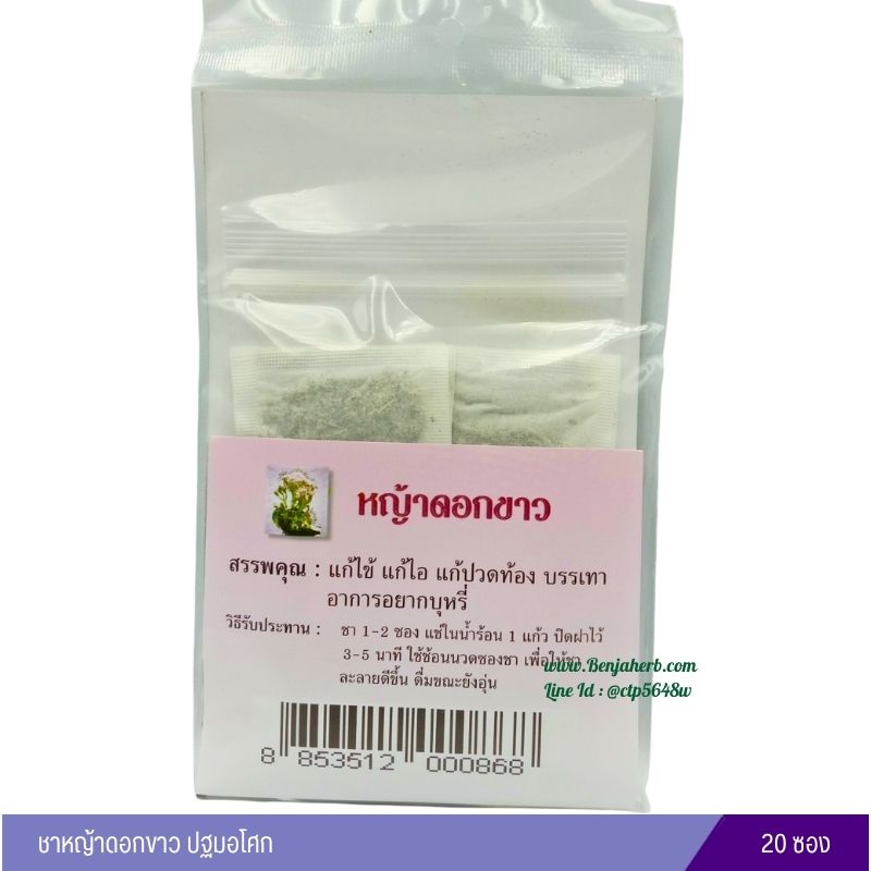 หญ้าดอกขาว ชาชงปฐม (ชาไม่อยากข้าว ช่วยเลิกบุหรี่)