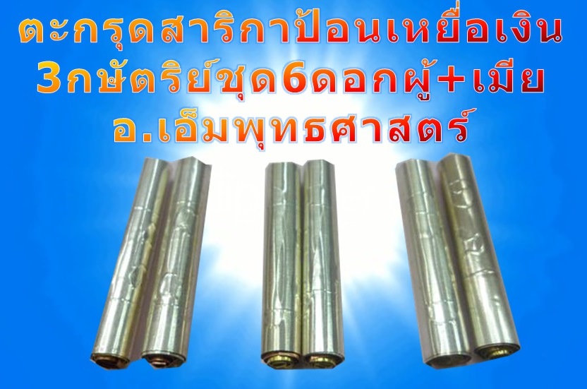 ตะกรุดสาริกาป้อนเหยื่อเงิน3กษัตริย์ชุด6ดอกผู้+เมียอาจารย์เอ็ม พุทธศาสตร์
