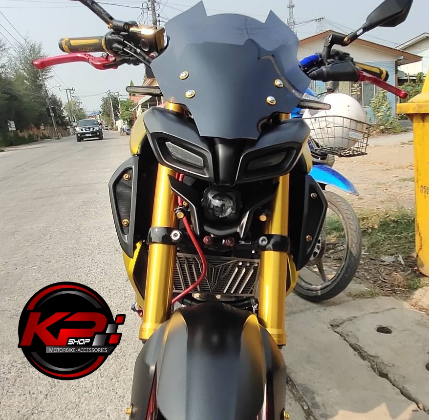 ชิวหน้าแต่ง MT 15