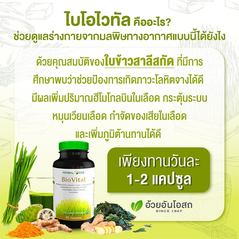 ไบโอไวทัล สารสกัดจากใบข้าวสาลีอ่อน อ้วยอันโอสถ เฮอร์บัลวัน BioVital