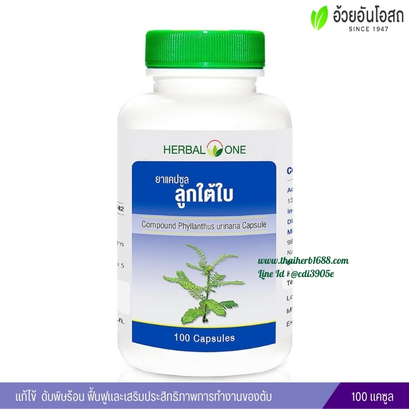 ยาแคปซูลลูกใต้ใบ อ้วยอันโอสถ เฮอร์บัลวัน Herbal One