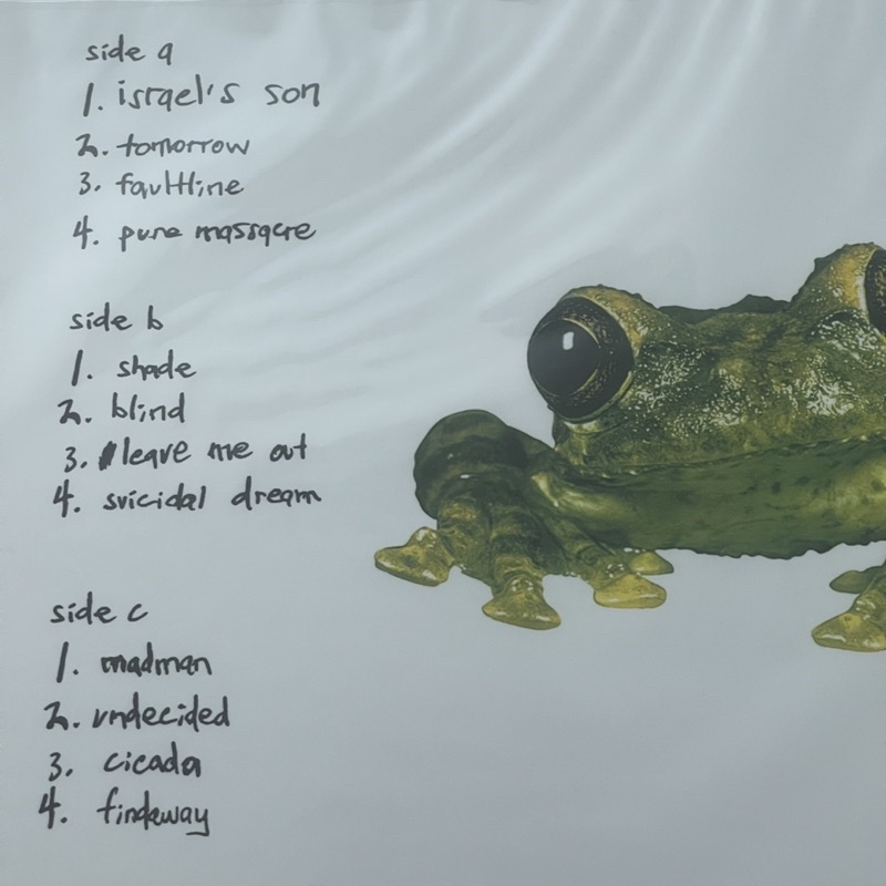 แผ่นเสียง Silverchair - Frogstomp ,crystal clear Vinyl, LP, Single Sided, แผ่นเสียงมือหนึ่ง ซีล