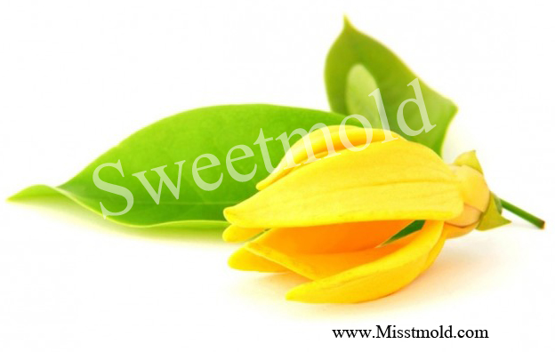 หัวน้ำหอมกลิ่น ดอกกะดังงา YLANG YLANG ขนาด 1000 ML