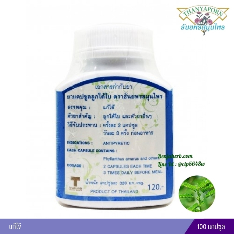 แคปซูลลูกใต้ใบ ธันยพรสมุนไพร (100 แคปซูล)