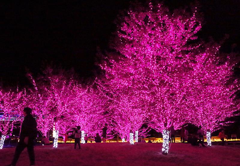 ไฟคริสต์มาส ความยาว 100 เมตร เเสงขาว / วอร์มไวท์ / สีรวม RGB /ฟ้า / เเดง / ชมพู เเสงนิ่ง (ไม่กระพริบ) ไฟประดับตกเเต่ง ไฟประดับสวน ไฟประดับต้นไม้ ไฟประดับ led ไฟประดับปีใหม่ ไฟปีใหม่ ไฟงานวัด ไฟเส้นตกเเต่ง