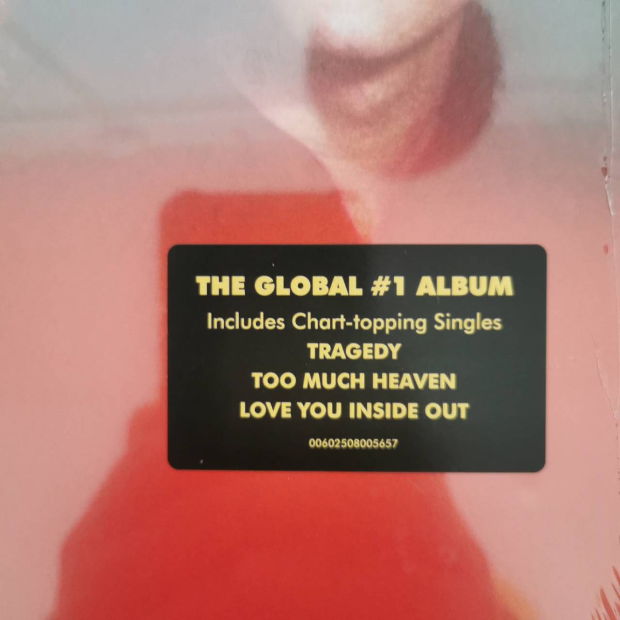 แผ่นเสียง Bee Gees Spirits having flown