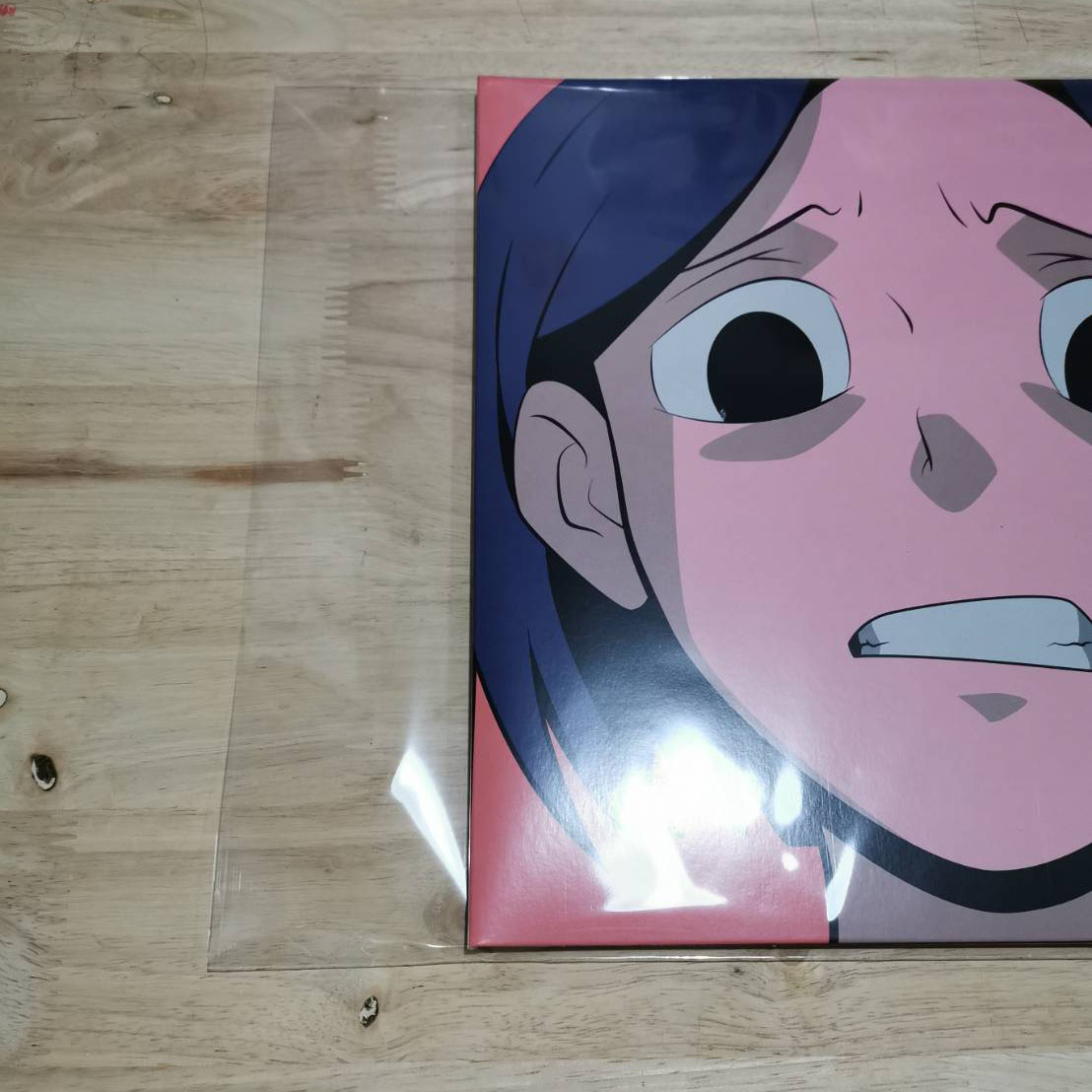 ซองพลาสติกใส่แผ่นเสียง ซองใส่แผ่นเสียง ซองชั้นนอก (32x32เซนติเมตร) เหมาะสำหรับใส่แผ่นเสียงอัลบั้มที่มี 1แผ่น (50ใบ)