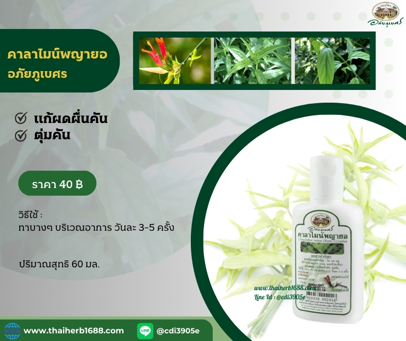 คาลาไมน์พญายอ อภัยภูเบศร