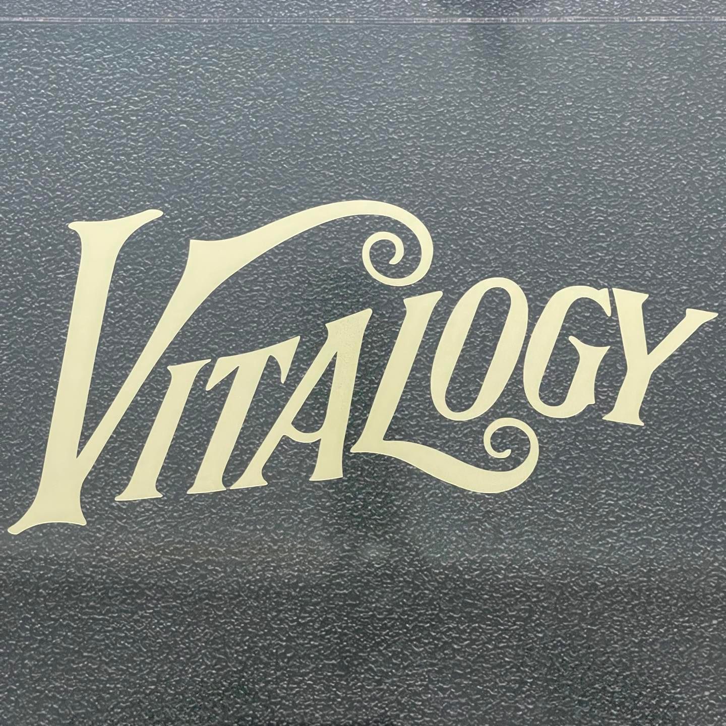 แผ่นเสียง Pearl jam– Vitalogy ,2 x Vinyl, LP, Album, Remastered, Reissue, 180 Gram, gold foil stamp แผ่นมือหนึ่ง ซีล