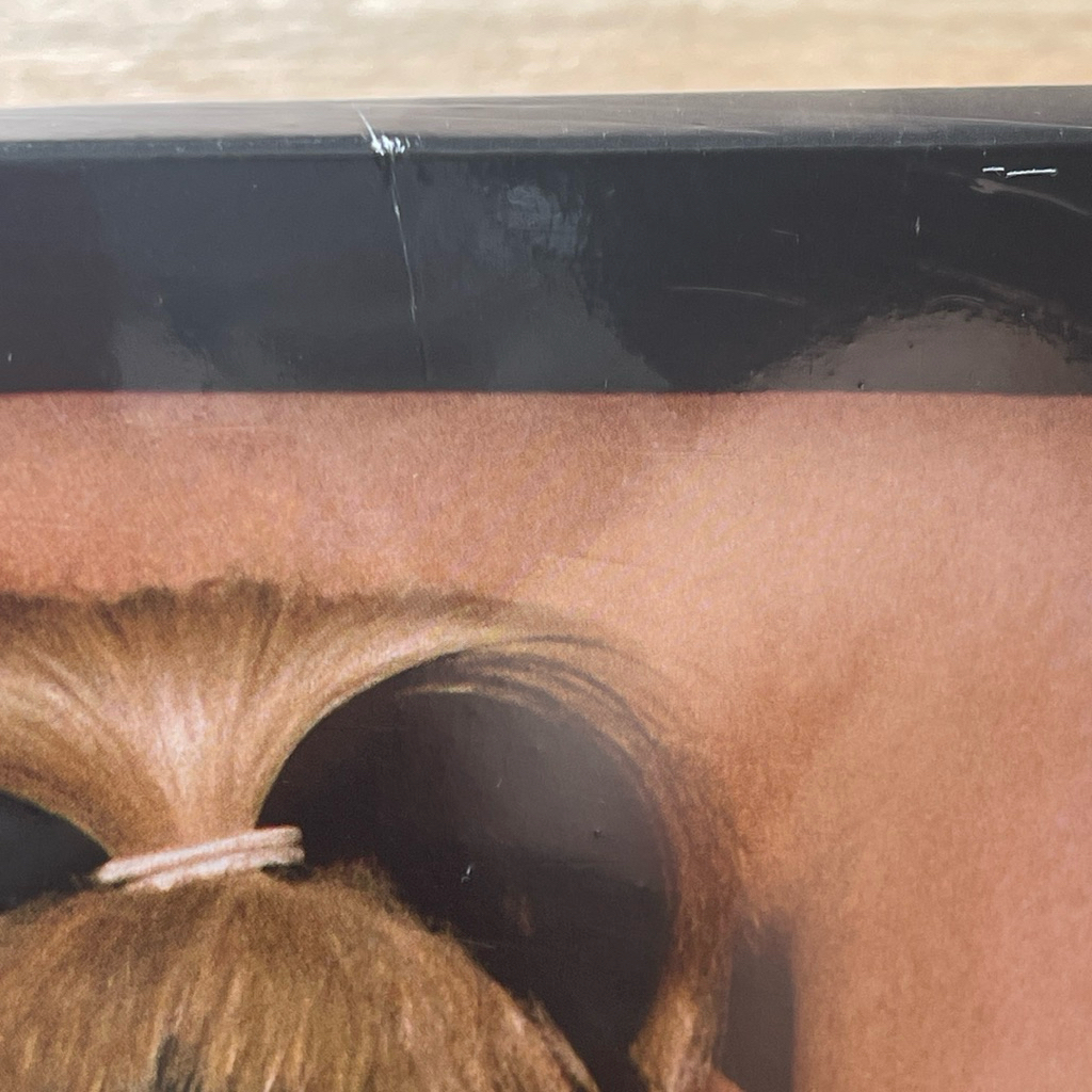 แผ่นเสียง Dua lipa Futures Nostalgia 5Th Anniversary 3Lp Vinyl,,มือหนึ่ง ซีล