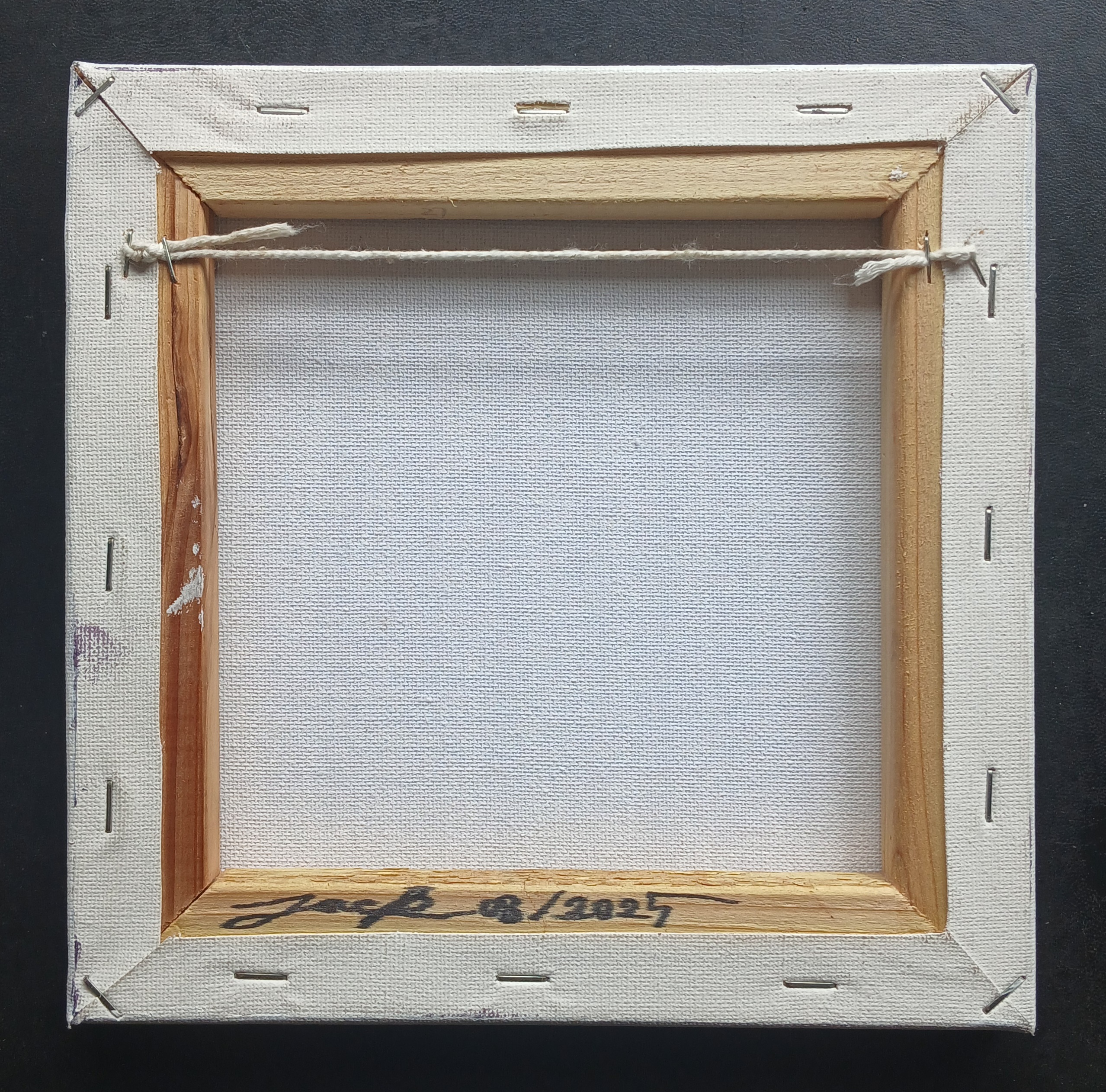 Surreal Portrait 30 (Overdose) วาดเส้นปากกา หมึกดำ, สีอะครีลิค บนเฟรมผ้าใบ ขนาดเล็ก 20 × 20 cm.