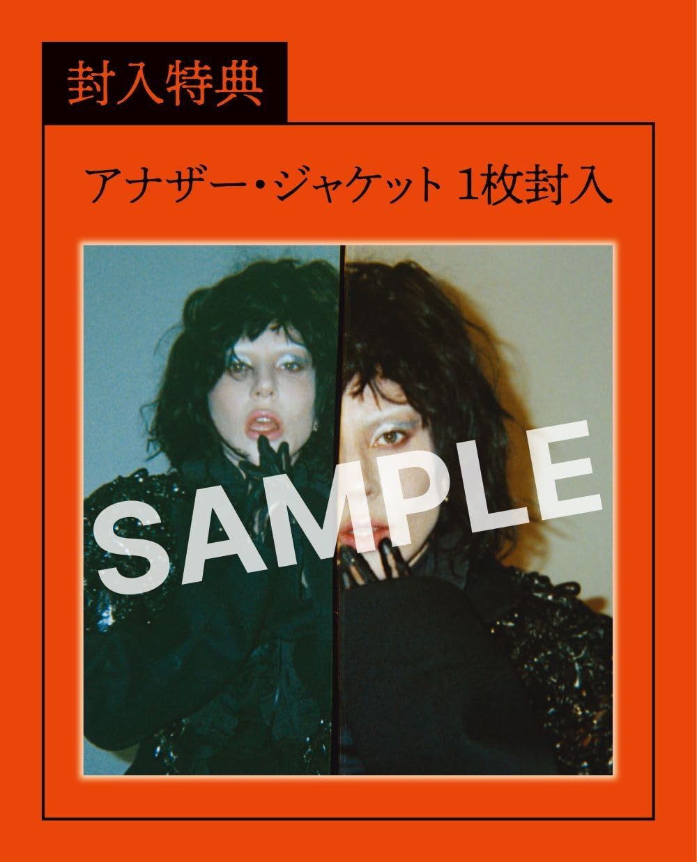 แผ่นเสียง Lady GAgA Mayhem ,japanese Obi Vinyl,2 LP, poster,Single Sided, Etched , มือหนึ่ง